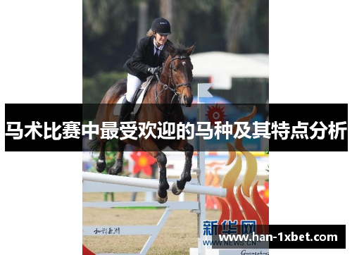 马术比赛中最受欢迎的马种及其特点分析