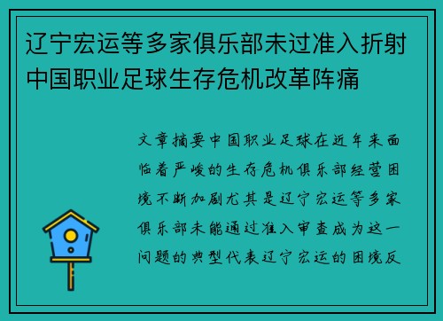 辽宁宏运等多家俱乐部未过准入折射中国职业足球生存危机改革阵痛 辽宁宏运等多家俱乐部未过准入折射中国职业足球生存危机改革阵痛